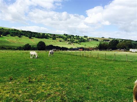 G.W. Dyson Dairy Farm